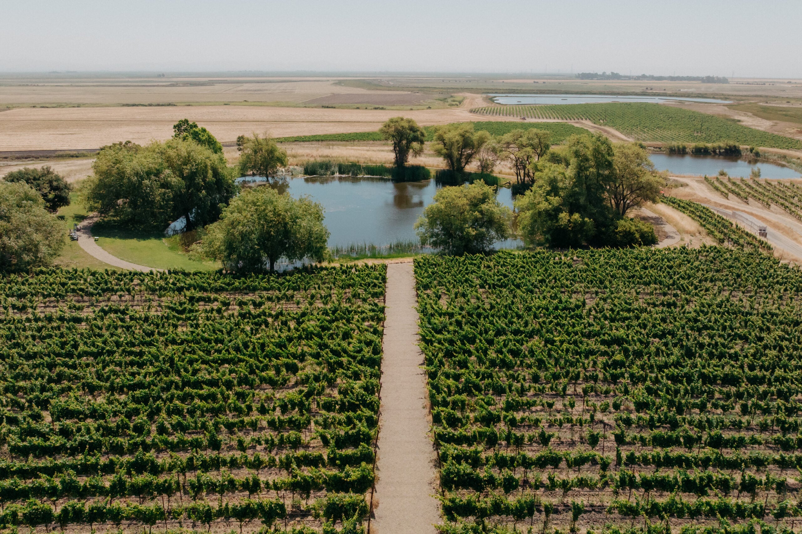 2019 Pinot Noir, Gap's Crown Vineyard | Ram's Gate Winery
